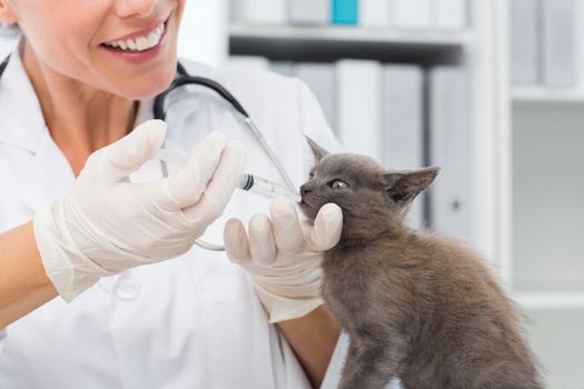 Female vet giving a cat medicine through mouth in clinic