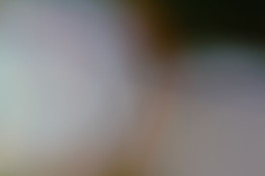 Defocused abstract texture background for your design