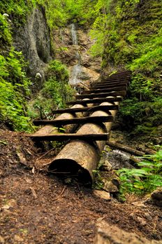Close-up view of one of the wooden ladders in Slovak Paradise National Park in Slovakia