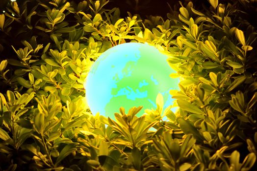 Glowing Earth through leaves and branches. Abstract background