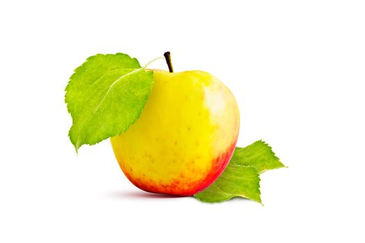 Ripe red and yellow apple and green leaves on a white background