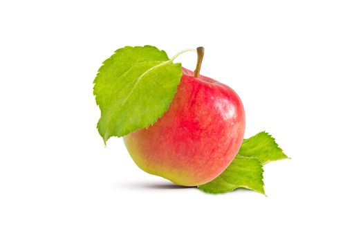 Ripe red and yellow apple and green leaves on a white background