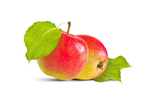 Ripe red and yellow apples and green leaves on a white background