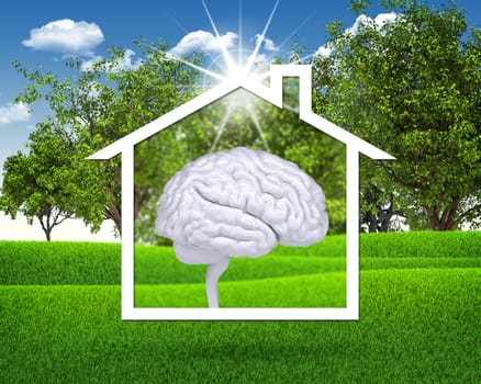 House icon with white brain. Green grass and blue sky as backdrop