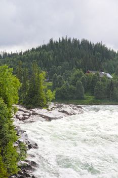 Waterfall and river in green forest in northern Norway at summer