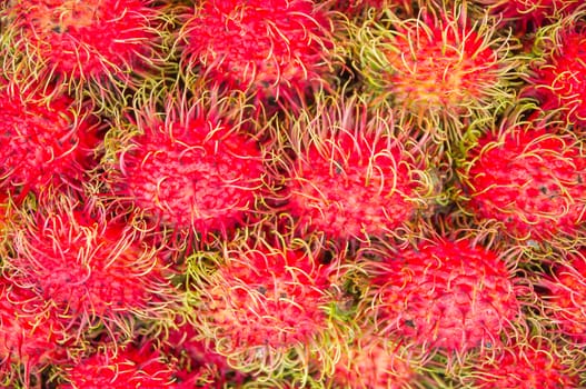 Rambutan  Tropical Fruits