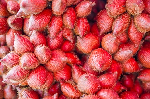 Zalacca tropical fruit