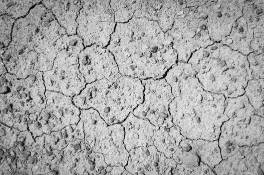 Dried earth texture background.