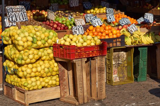 Fresh fruit and vegetables for sale in the historic Central Market (La Vega) in Santiago, capital of Chile