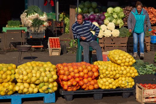 Fresh fruit and vegetables for sale in the historic Central Market (La Vega) in Santiago, capital of Chile