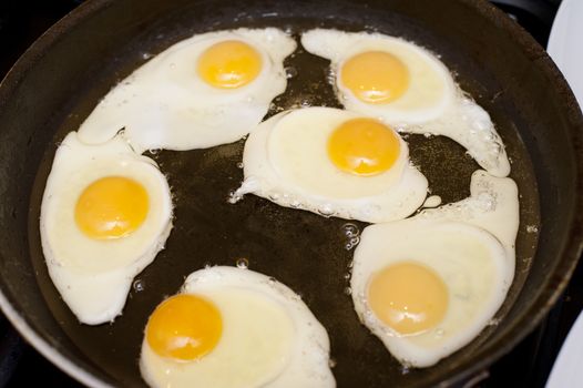 High-angle close-up of six fried eggs, nutritious source of proteins, in a pan with hot oil, for breakfast