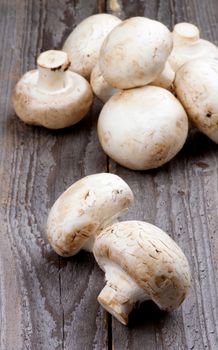 Heap and Two Big Raw Freshly Picked Champignons on Rustic Wooden background