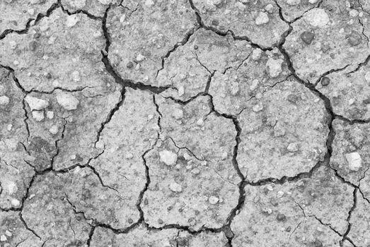Dried earth texture background.