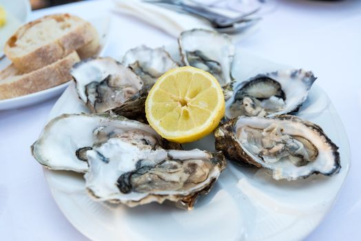 Oyster and lemon on a white plate with bread in the background