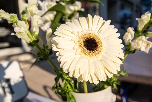 Bouquet with bright gerbera (daisy flower) in a vase on a table, blurred background