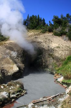 Dragon's Mouth Spring at Yellowstone National Park 
