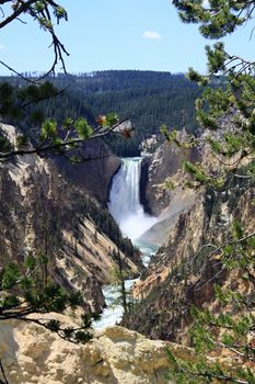 Canyon of colors with Lower Yellowstone Falls