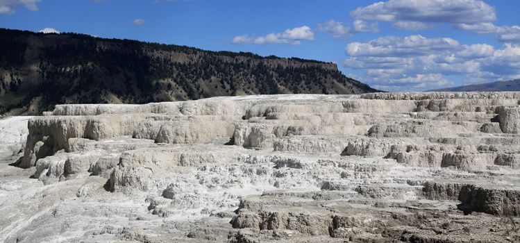 Yellowstone, Mammoth hot springs Terraces 