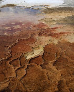 Little steaming pond along the firehole road in Yellowstone NP