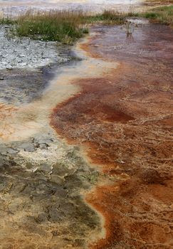 Little steaming pond along the firehole road in Yellowstone NP 