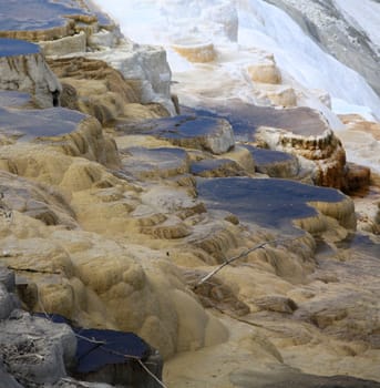 Minerva terrace in Yellowstone national park