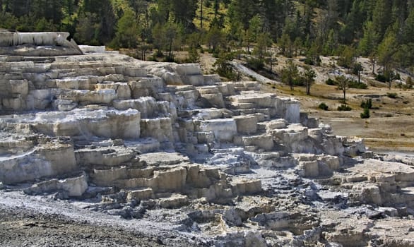 Minerva terrace in Yellowstone national park