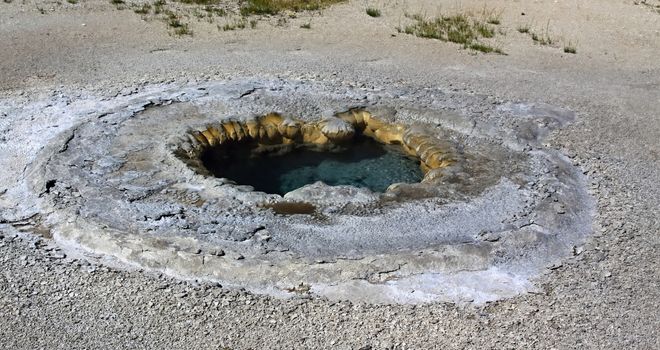 Solitary geiser in Yellowstone national park