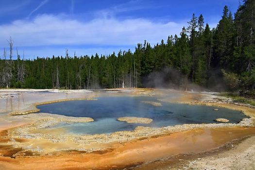 Solitary geyser in Yellowstone national park