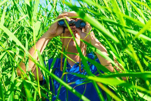 tucked away in the reeds hunter in ambush