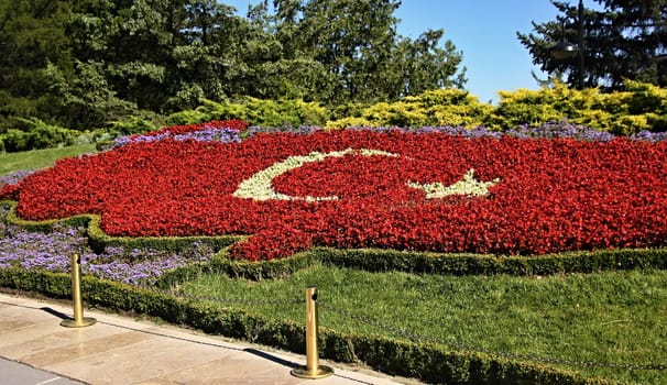 Turkish flag made of flower arrangement 