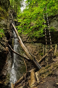Picturesque view of waterfall between two mountain walls with a wooden ladder nearby, Slovak Paradise National Park