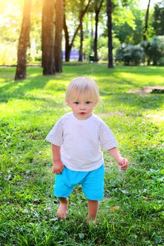 Baby Boy walk at the Summer Park