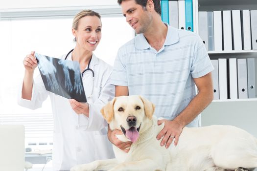Female veterinarian and pet owner discussing Xray of dog in clinic