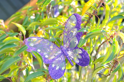 Purple butterfly decoration at wedding reception