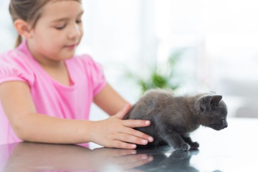 Little girl playing with kitten in vet office