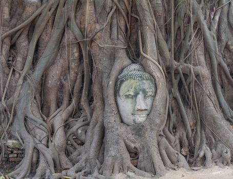 Head of Buddha in The Tree Roots at Wat Mahathat, Ayutthaya, Thailand