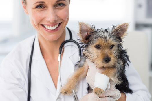 Portrait of smiling female vet holding puppy with bandage on leg in clinic