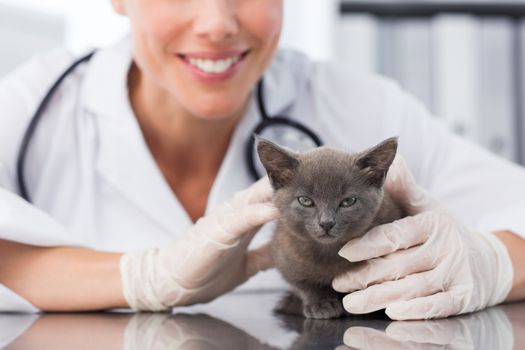 Mid section of female vet examining cute kitten in clinic