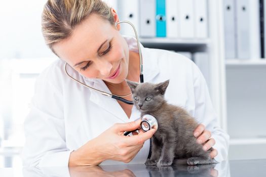 Attractive vet examining kitten with stethoscope in hospital