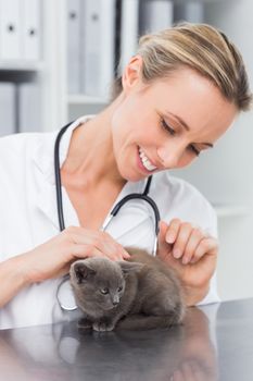 Happy female veterinarian examining kitten in hospital