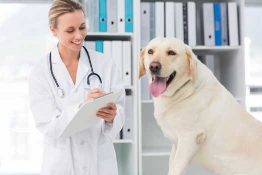 Female veterinarian writing prescription for dog after medical exam