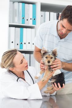 Male owner with puppy visiting female vet in clinic