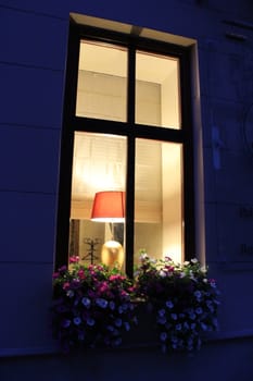 light in the window and hanging flowers from it