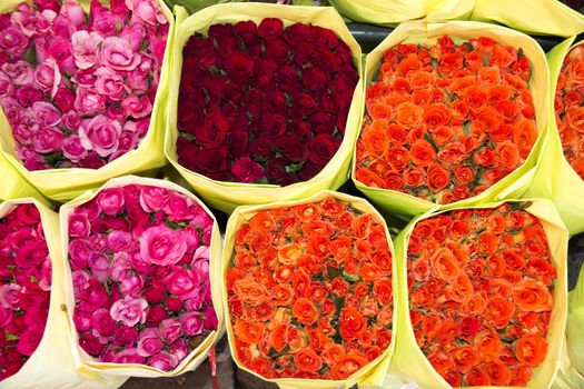 Roses on the flower market in Bangkok, Thailand