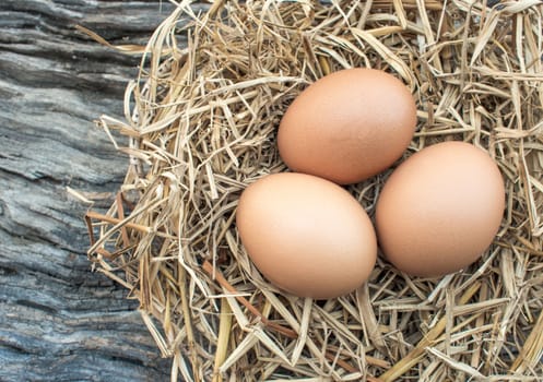 Eggs in straw nest on the wooden floor.