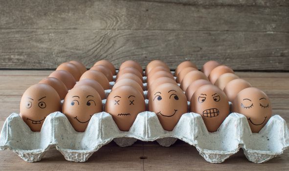 egg Family