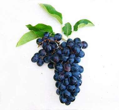 Ripe dark grapes with leaves, on white background