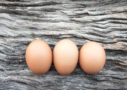 Eggs laid on wooden floor