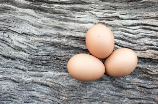 Eggs laid on wooden floor