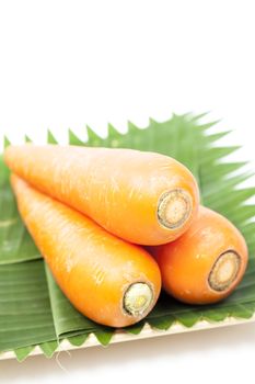 Carrots on a plate Behind a white background in the studio.